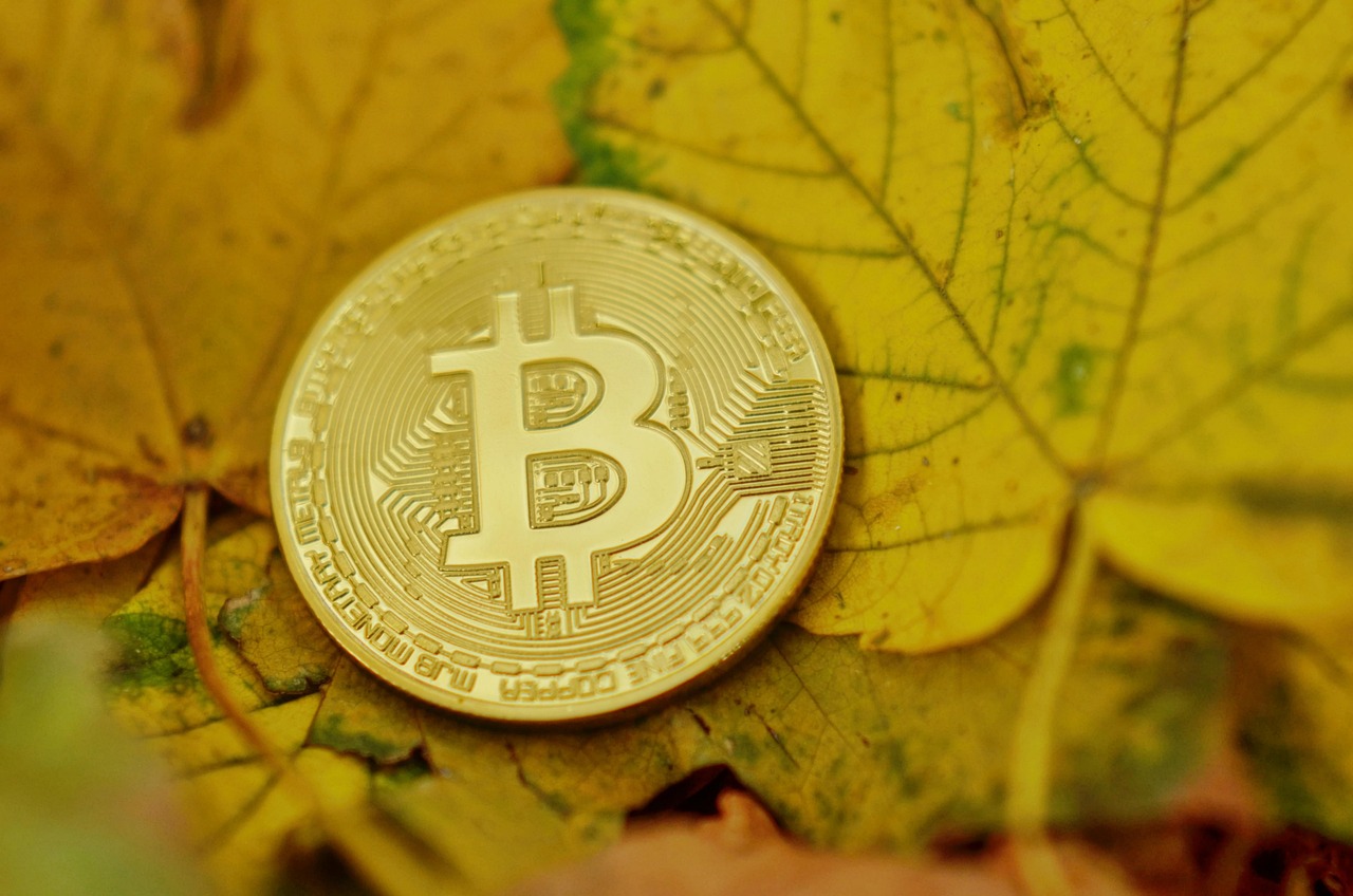 FxPro分析师Alex Kuptsikevich：数据显示XRP、SOL、ADA展现出技术面强势讯号